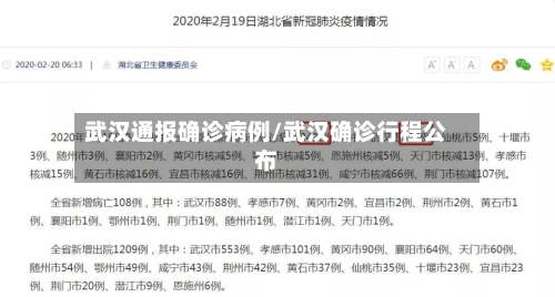 武汉通报确诊病例/武汉确诊行程公布