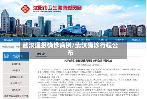 武汉通报确诊病例/武汉确诊行程公布-第2张图片