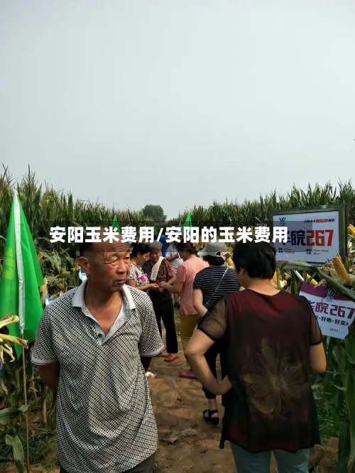 安阳玉米费用/安阳的玉米费用-第2张图片