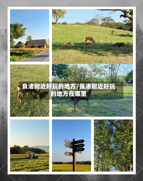 良渚附近好玩的地方/良渚附近好玩的地方在哪里