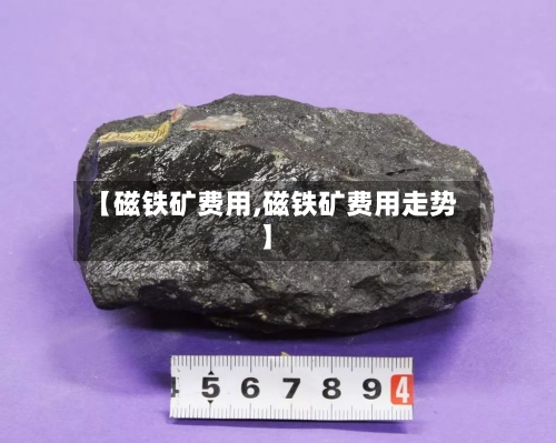 【磁铁矿费用,磁铁矿费用走势】