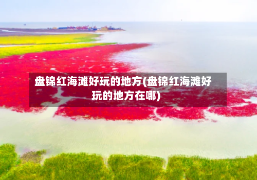 盘锦红海滩好玩的地方(盘锦红海滩好玩的地方在哪)