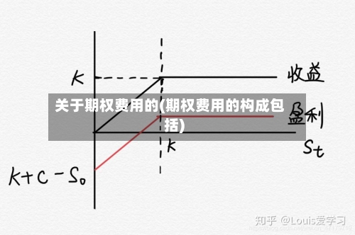 关于期权费用的(期权费用的构成包括)