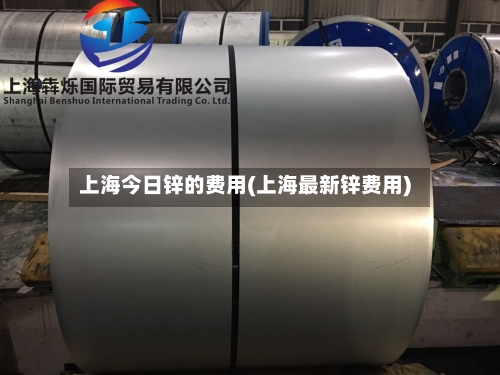 上海今日锌的费用(上海最新锌费用)-第3张图片