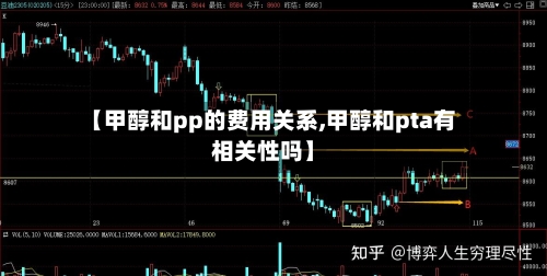 【甲醇和pp的费用关系,甲醇和pta有相关性吗】