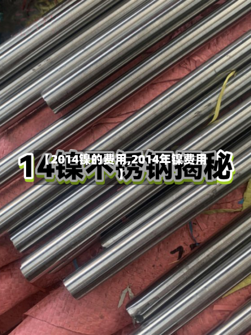 【2014镍的费用,2014年镍费用】-第3张图片