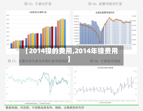 【2014镍的费用,2014年镍费用】
