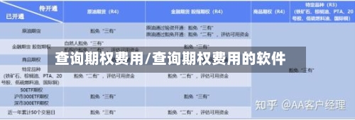 查询期权费用/查询期权费用的软件-第2张图片