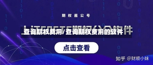 查询期权费用/查询期权费用的软件