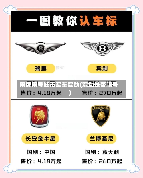 限牌限号城市买车混动(混动是否限号)-第2张图片
