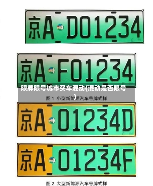 限牌限号城市买车混动(混动是否限号)-第3张图片