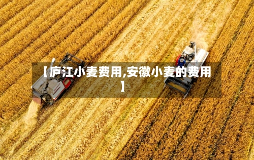 【庐江小麦费用,安徽小麦的费用】-第2张图片