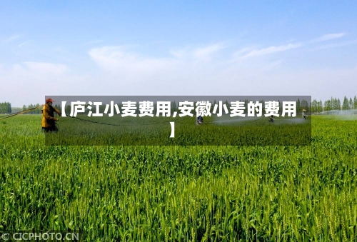 【庐江小麦费用,安徽小麦的费用】