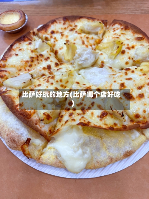 比萨好玩的地方(比萨哪个店好吃)-第2张图片