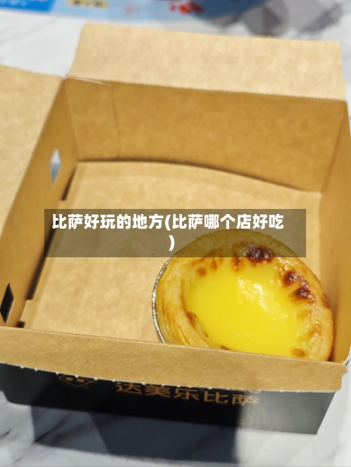 比萨好玩的地方(比萨哪个店好吃)