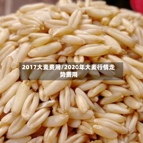2017大麦费用/2020年大麦行情走势费用