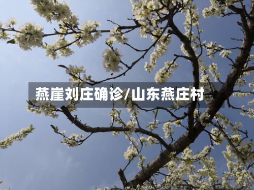 燕崖刘庄确诊/山东燕庄村-第3张图片