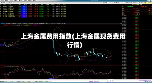 上海金属费用指数(上海金属现货费用行情)