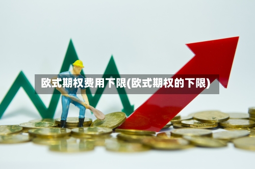 欧式期权费用下限(欧式期权的下限)