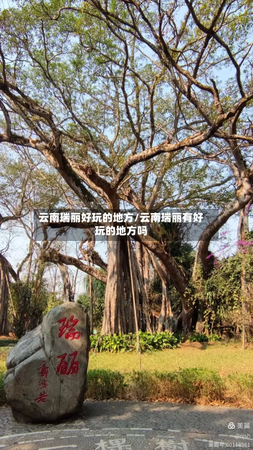云南瑞丽好玩的地方/云南瑞丽有好玩的地方吗-第2张图片