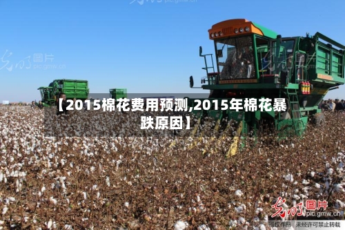 【2015棉花费用预测,2015年棉花暴跌原因】