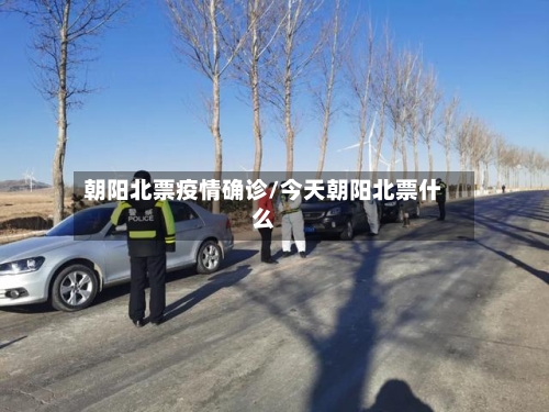 朝阳北票疫情确诊/今天朝阳北票什么-第2张图片