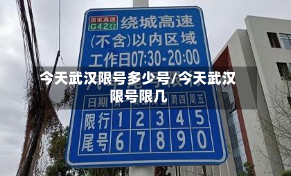 今天武汉限号多少号/今天武汉限号限几