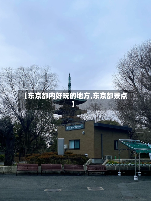 【东京都内好玩的地方,东京都景点】