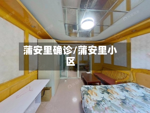 蒲安里确诊/蒲安里小区-第2张图片