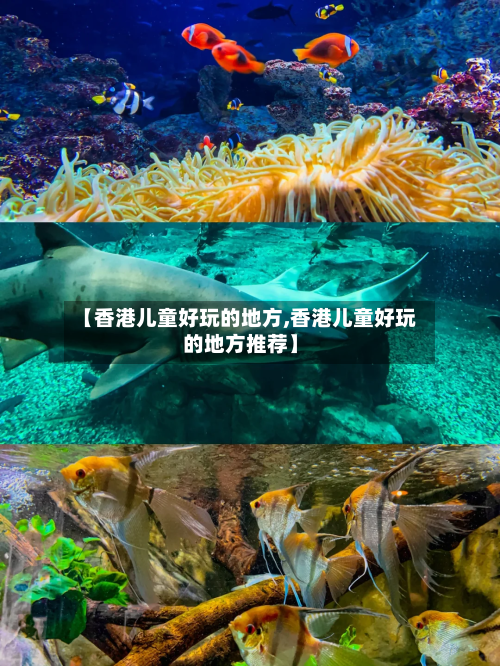 【香港儿童好玩的地方,香港儿童好玩的地方推荐】-第2张图片
