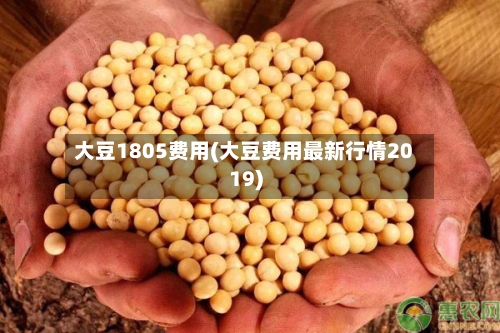 大豆1805费用(大豆费用最新行情2019)