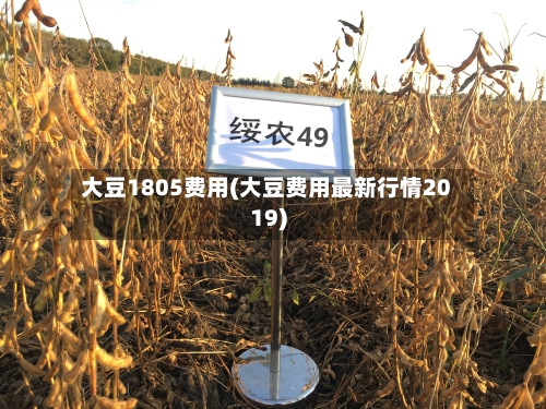 大豆1805费用(大豆费用最新行情2019)-第2张图片
