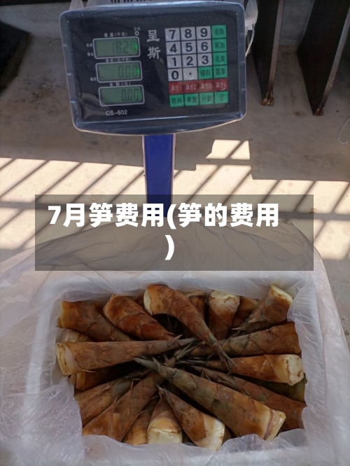 7月笋费用(笋的费用)-第2张图片