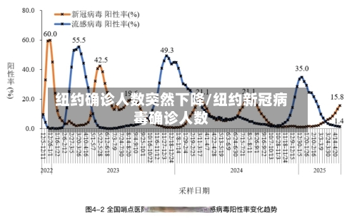 纽约确诊人数突然下降/纽约新冠病毒确诊人数-第3张图片