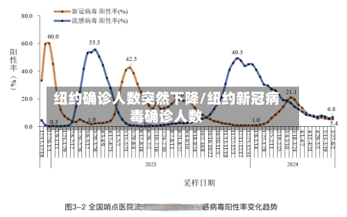 纽约确诊人数突然下降/纽约新冠病毒确诊人数