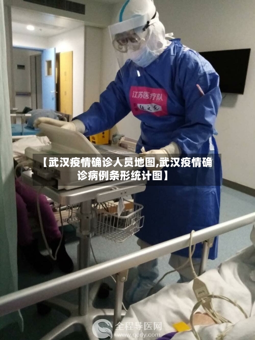 【武汉疫情确诊人员地图,武汉疫情确诊病例条形统计图】-第2张图片