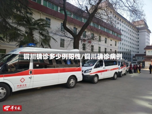 铜川确诊多少例阳性/铜川确诊病例