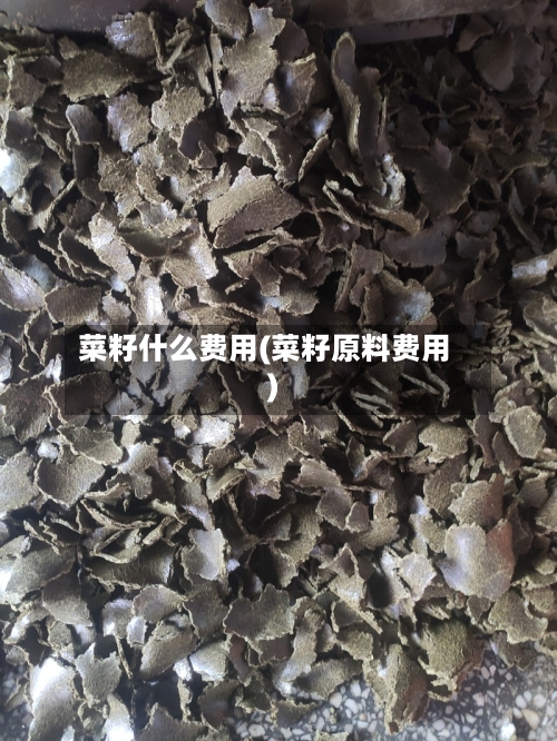 菜籽什么费用(菜籽原料费用)-第3张图片