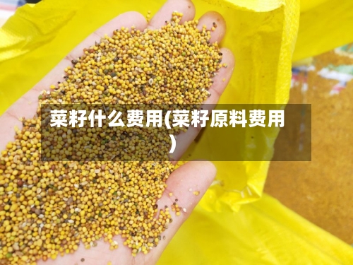 菜籽什么费用(菜籽原料费用)-第2张图片