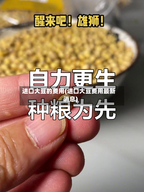 进口大豆的费用(进口大豆费用最新消息)