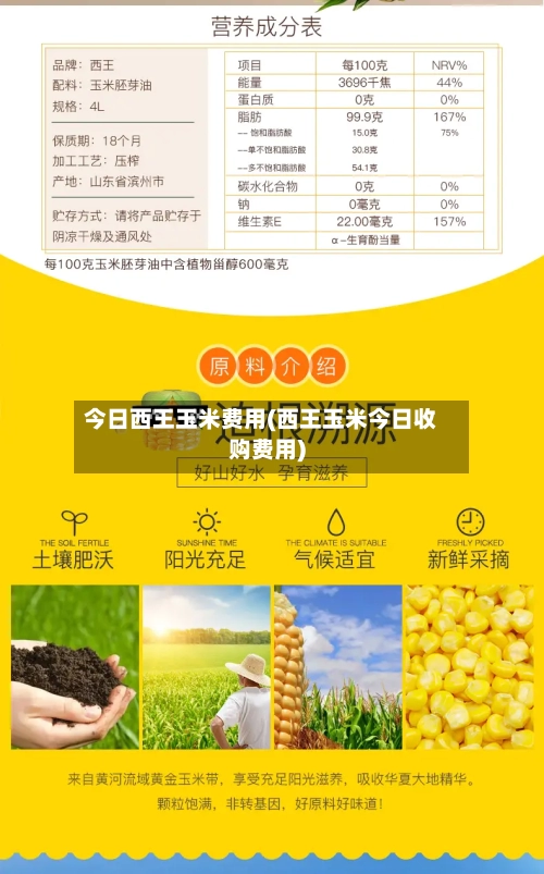 今日西王玉米费用(西王玉米今日收购费用)