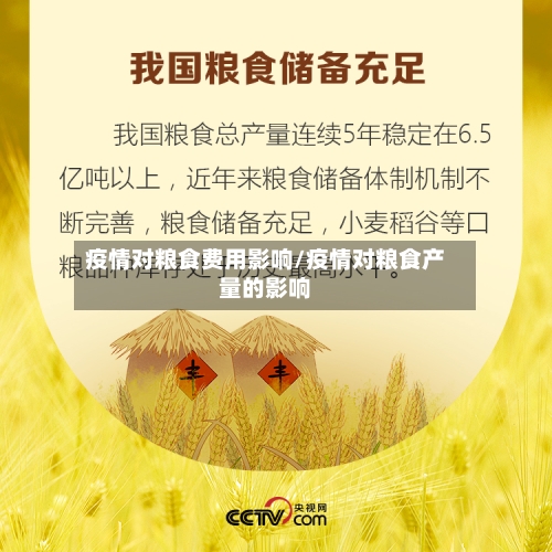 疫情对粮食费用影响/疫情对粮食产量的影响-第2张图片