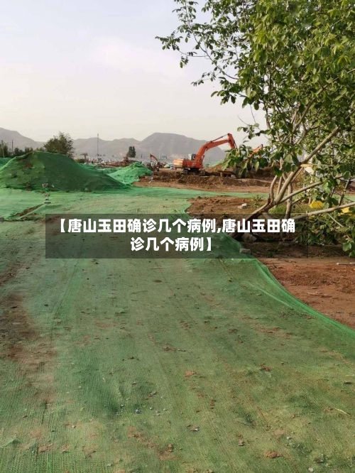【唐山玉田确诊几个病例,唐山玉田确诊几个病例】