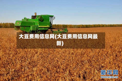 大豆费用信息网(大豆费用信息网最新)