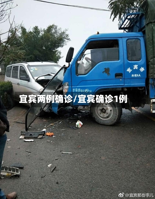 宜宾两例确诊/宜宾确诊1例-第2张图片