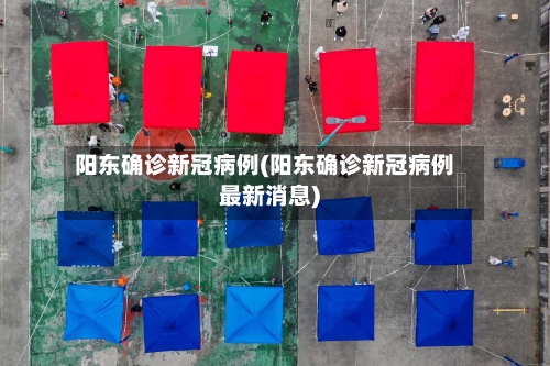 阳东确诊新冠病例(阳东确诊新冠病例最新消息)