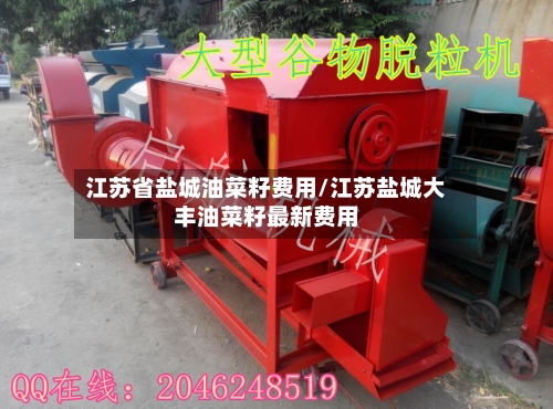 江苏省盐城油菜籽费用/江苏盐城大丰油菜籽最新费用