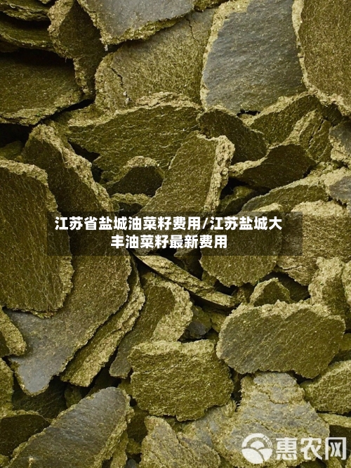 江苏省盐城油菜籽费用/江苏盐城大丰油菜籽最新费用-第2张图片