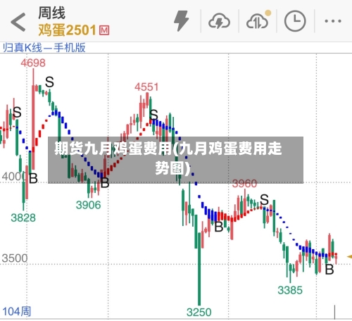期货九月鸡蛋费用(九月鸡蛋费用走势图)-第2张图片