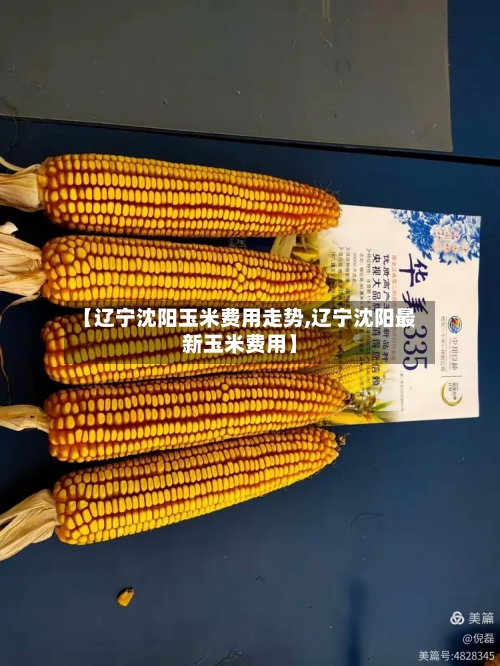 【辽宁沈阳玉米费用走势,辽宁沈阳最新玉米费用】-第3张图片